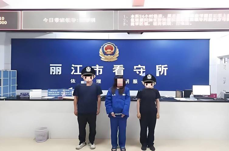 北京女子一牌多租诈骗求租车牌者，被判有期徒刑10年6个月